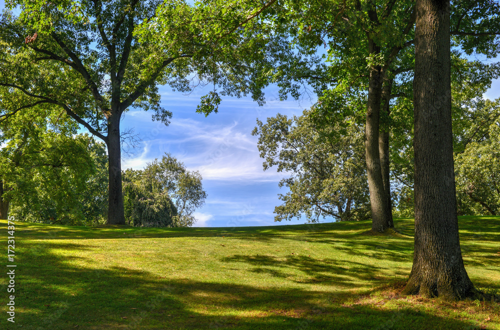 Obraz premium Idyllic Forest Path