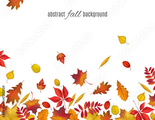 Autumn leaves border isolated on white background. Abstract fall background for your greeting cards design or website. Vector illustration