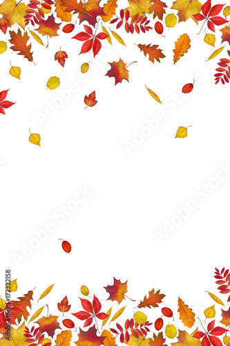 Autumn leaves border isolated on white background. Abstract fall background for your greeting cards design or website. Vector illustration
