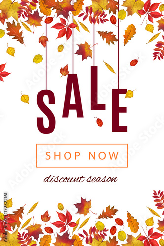 Wallpaper Mural Autumn discount sale banner template with fall leaves on white background. Shop market poster for your web design. Vector illustration Torontodigital.ca