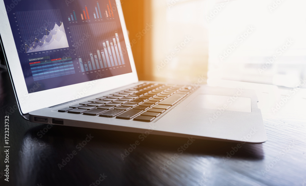 Computer laptop with business chart Computer laptop with business chart
