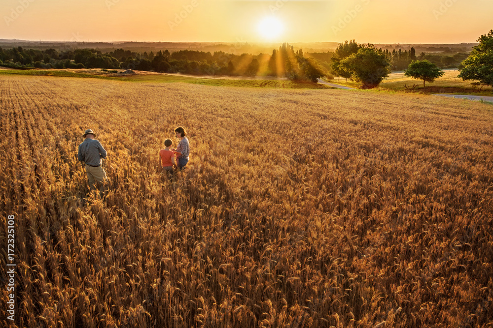 Farmer family standing in their wheat field at sunset - obrazy, fototapety, plakaty 