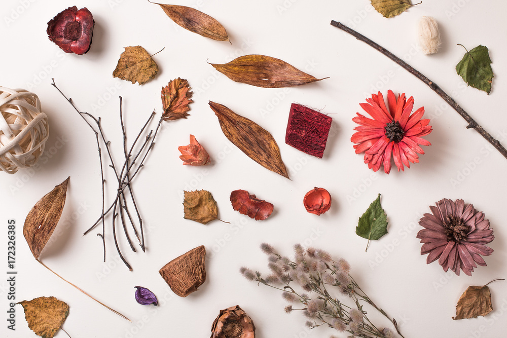 Autumn creative set of dry plants: fallen autumn leaves, dried flowers and petals, simple rustic branches. White background. Top view. Flat lay. Autumn creative set of dry plants: fallen autumn leaves, dried flowers and petals, simple rustic branches. White background. Top view. Flat lay.