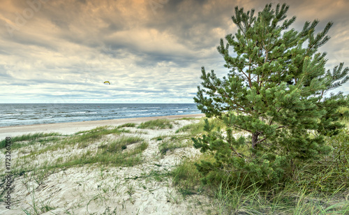 Fototapeta Naklejka Na Ścianę i Meble -  Coastal landscape with kite surrfing sportsman, Baltic Sea