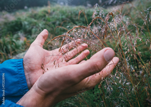 Man hands take dew drops from the grass