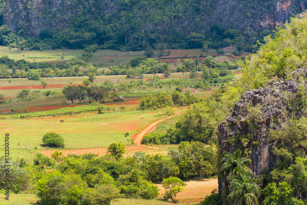 View of the Vinales valley, Pinar del Rio, Cuba. Copy space for text.