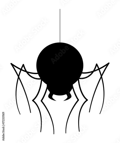 Spider Silhouette