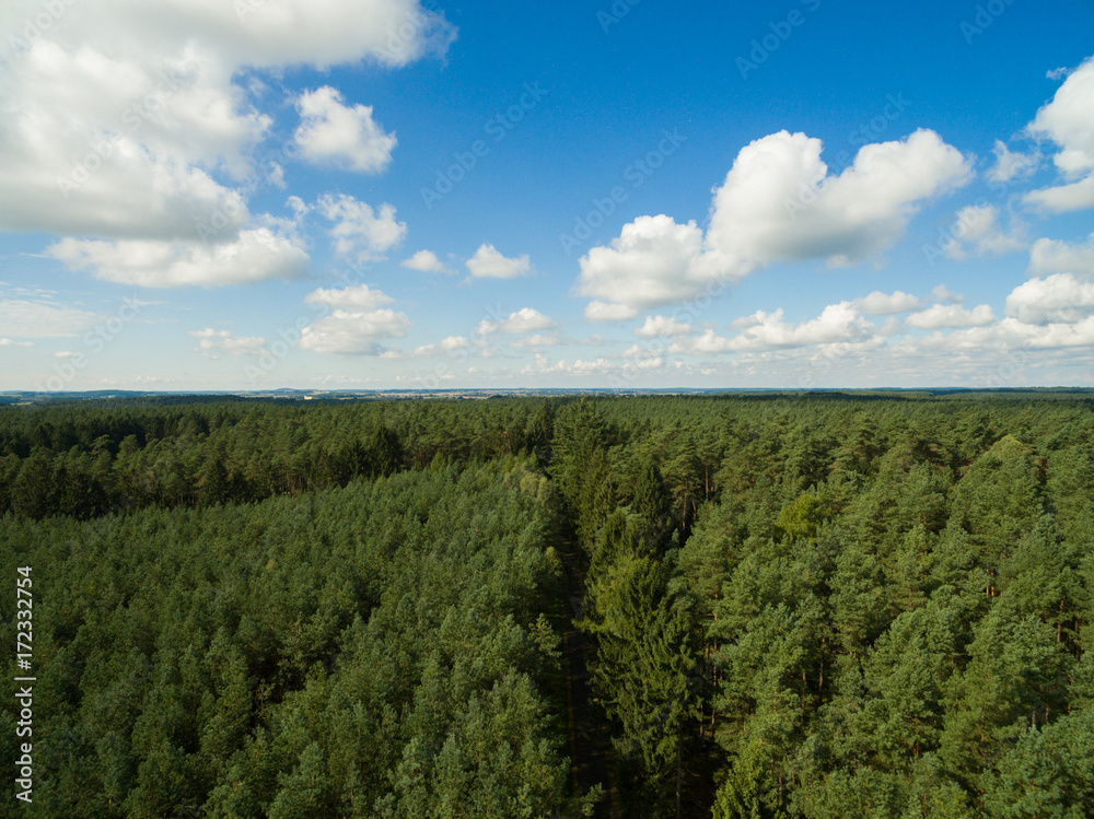 aerial view of green pine tree forest in european with blue sky