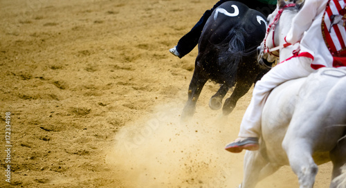 Palio di Asti con corsa dei cavalli al galoppo