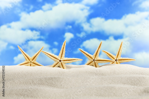 Four starfish on the beach