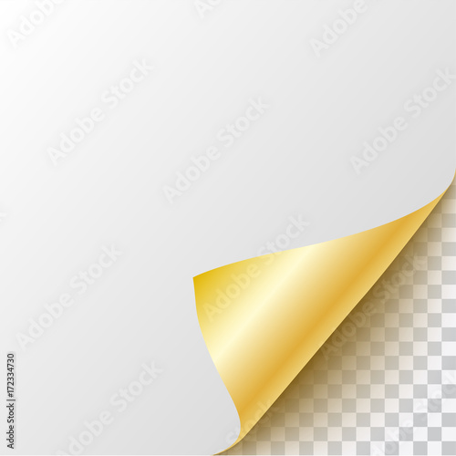 Vector gold curled paper corner with transparent background and space for text