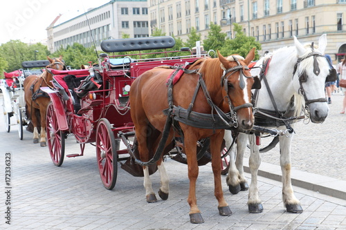 Kutsche in der Stadt