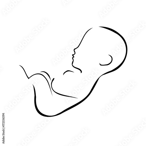 Drawing of fetus inside the womb of mother