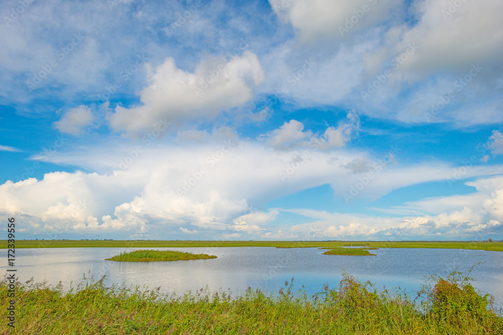 Lake shoreline below a blue cloudy sky in summer