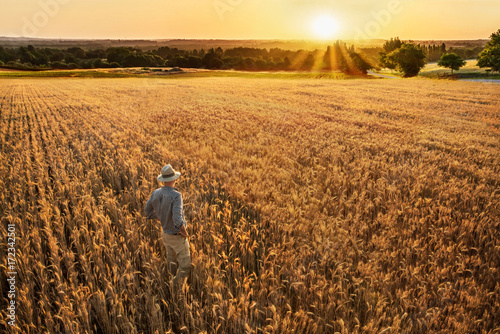 A farmer standing in his wheat field at sunset.