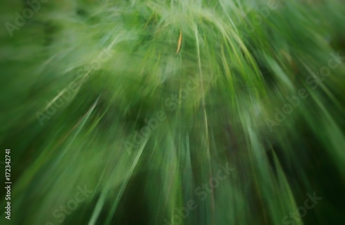 blurred abstract green pattern form grass slow speed shutter ,for background