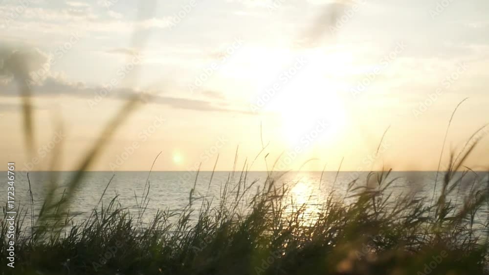 Beautiful sunset landscape with sea and grass. HD, 1920x1080, slow motion. Beautiful sunset landscape with sea and grass. HD, 1920x1080, slow motion.