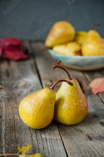 Autumn harvest concept - Fresh ripe organic yellow pears with water drops on rustic wooden table, dark stone background. Vegetarian, vegan, healthy diet food. Selective focus