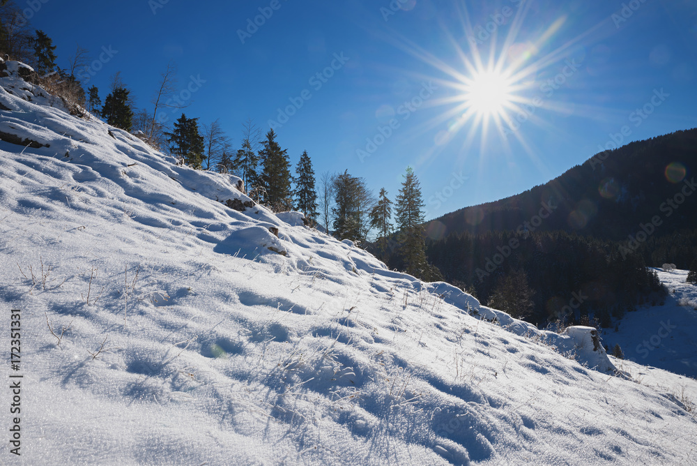 Wozu Lässt Sich Frisch Gefallener Schnee Verwenden