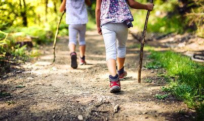 Children hiking in mountains or forest with sport hiking shoes.