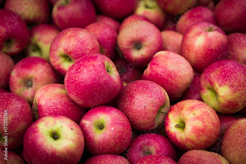 Fotografia organic apples for sale at farmers market