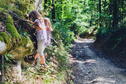 Children hiking in mountains or woods climbing the tree.