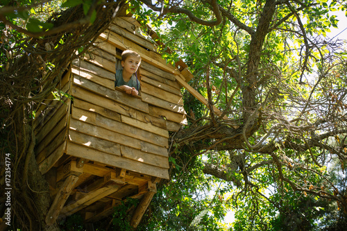 Boy looking through window in tree house