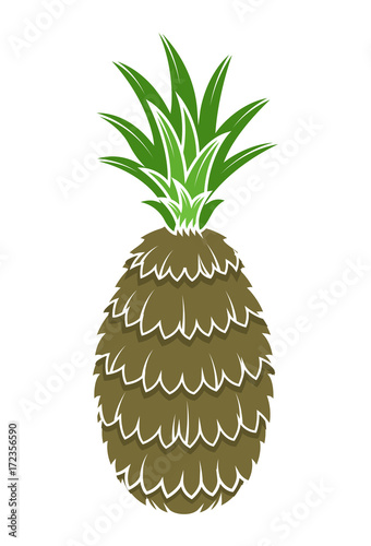Pineapple Vector