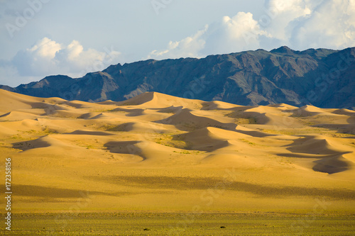 Khongor Els Sand Dune Gobi Desert Mongolia photo