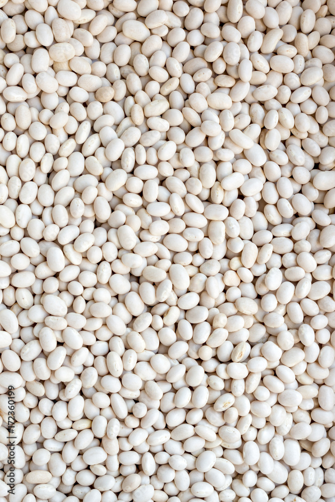 White beans, raw, close-up, texture, background White beans, raw, close-up, texture, background