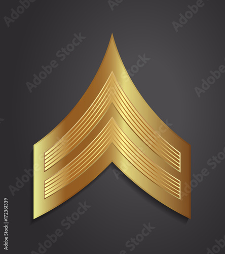 Military Ranks and Insignia. Stripes and Chevrons of Army