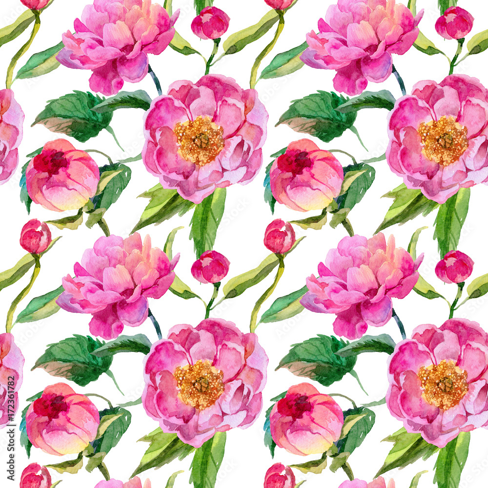 Wildflower peonies flower pattern in a watercolor style. Full name of the plant: pink peonies. Aquarelle wild flower for background, texture, wrapper pattern, frame or border. Wildflower peonies flower pattern in a watercolor style. Full name of the plant: pink peonies. Aquarelle wild flower for background, texture, wrapper pattern, frame or border.