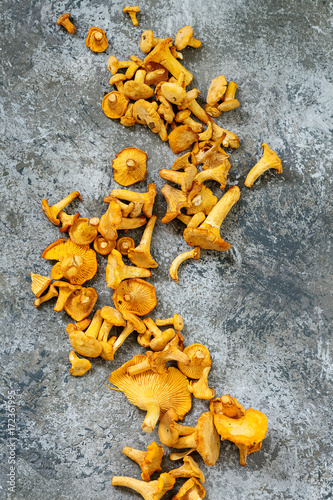 Heap of fresh uncooked forest mushrooms chanterelle over gray texture background. Top view with space