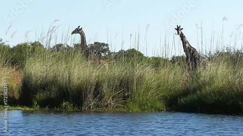 sailing through the channels of the okavango delta in botswana