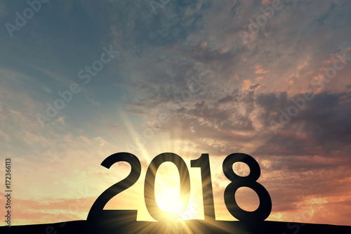 2018 new year silhouete against sunset sky. 3D Rendering