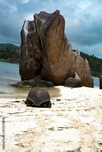 Seychelles, 2017