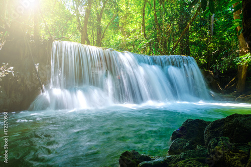 water fall wildlife kanchanaburi thailand