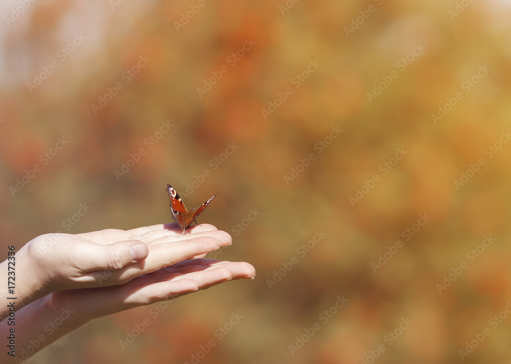 Fototapeta premium piękny motyl siedzi na rękach dziewczyn i przygotowuje się do startu w niebo, aby spotkać światło słoneczne wolności