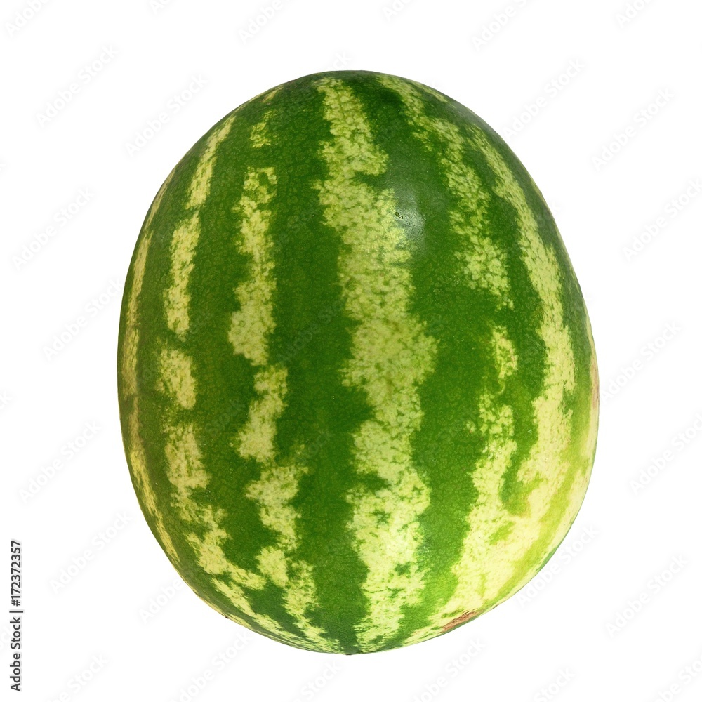 Ripe light green striped watermelon. Isolated on white background. Square frame