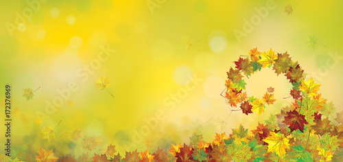 Vector autumnal leaves background.