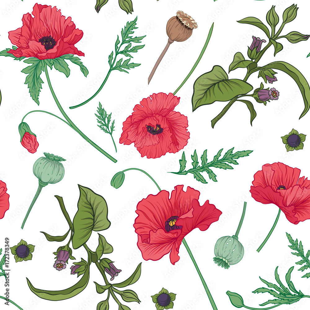 Seamless pattern, background with red opium poppy and belladonna
