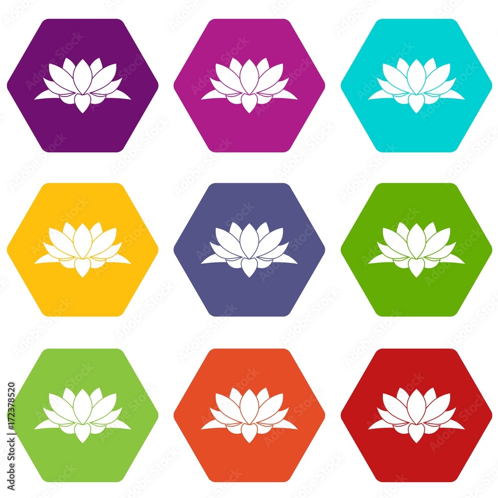 Lotus flower icon set color hexahedron