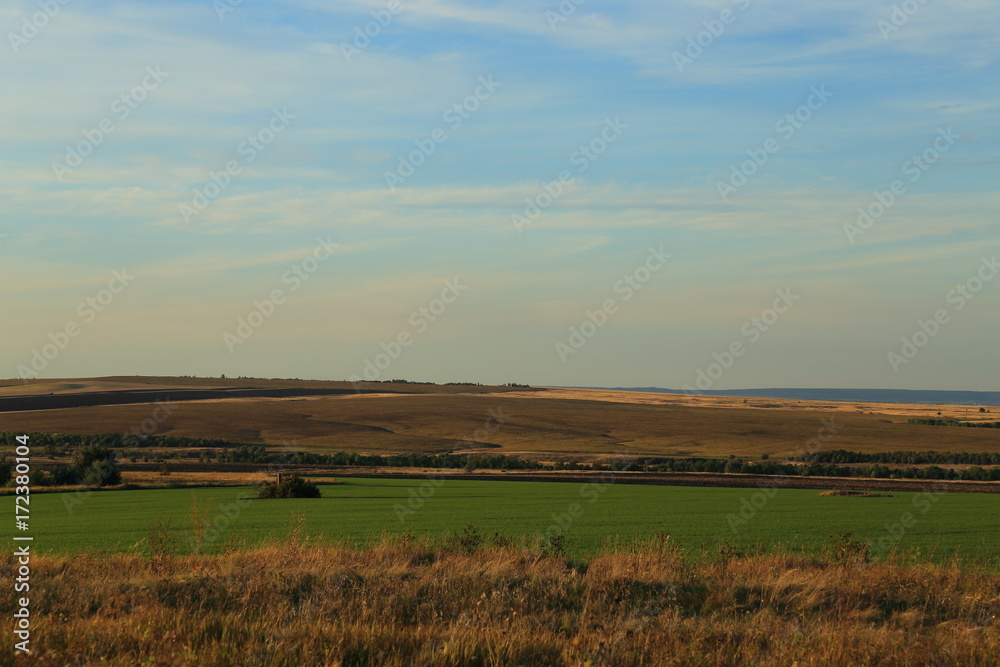 landscape agriculture field winter crops
