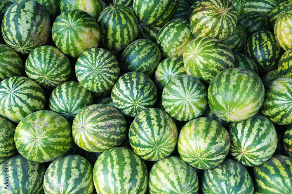 pile of watermelons close up pile of watermelons close up