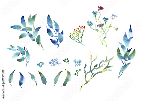 Collection romantic watercolor Summer flowers