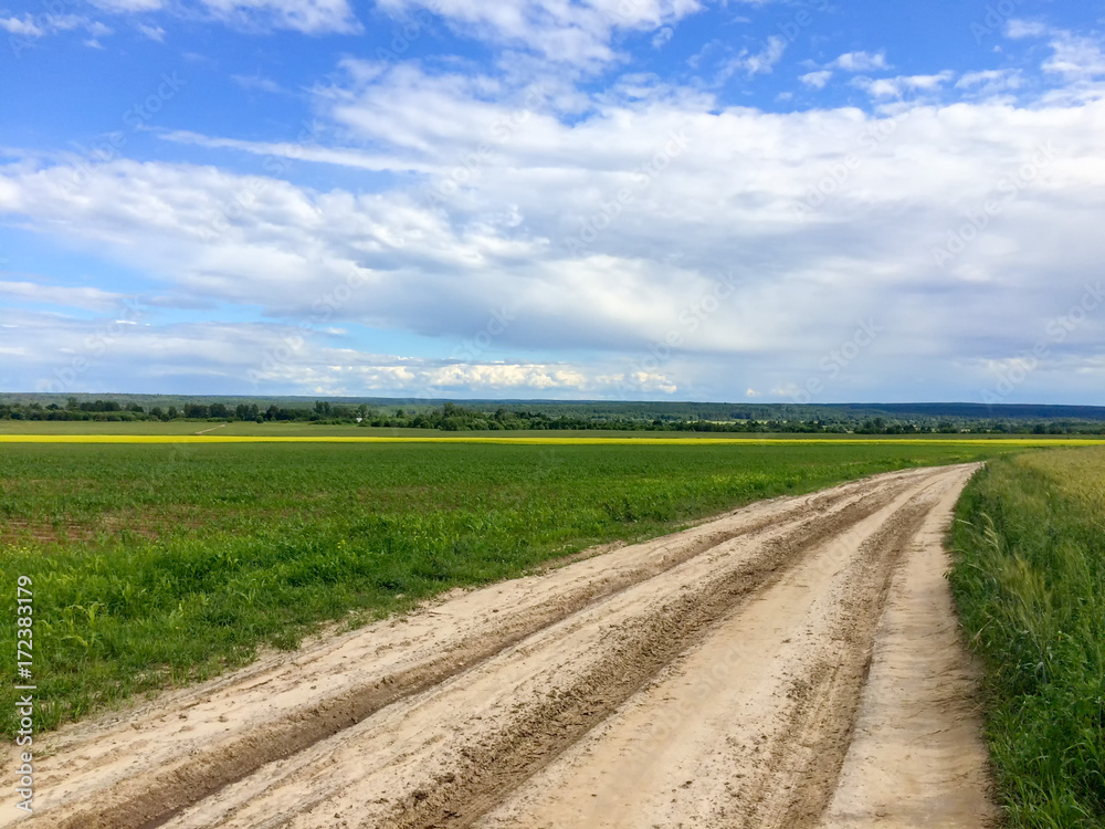 Vanishing dirt road through wheat farm field
Vanishing dirt road through wheat farm field
