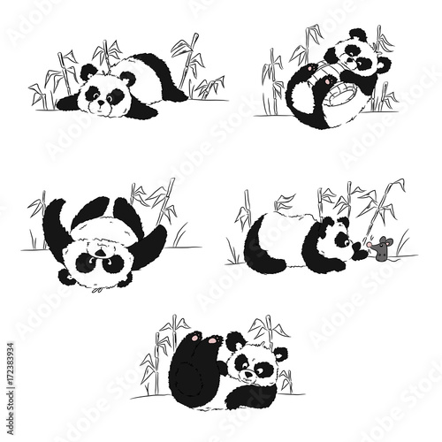 Fototapeta Naklejka Na Ścianę i Meble -  A set of pandas playing in bamboo. Sketches drawn by hand
