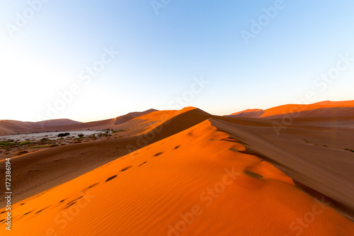 Desert sand dunes and landscape, Namib, Namibia, Africa