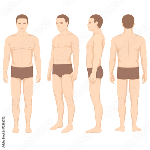 human body anatomy, vector man silhouette, front back side