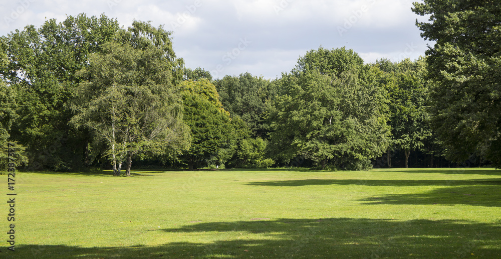 Big trees, green grass, empty landscape